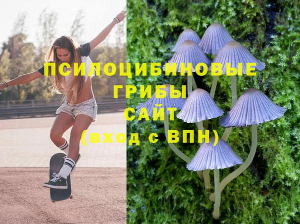 спайс Касимов