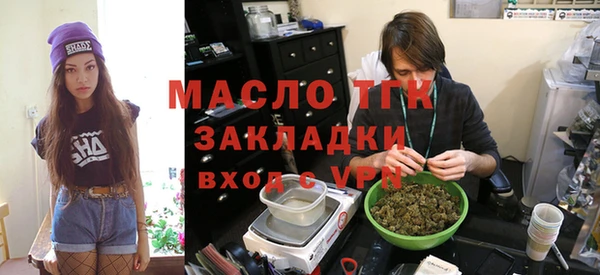 амф Каменка