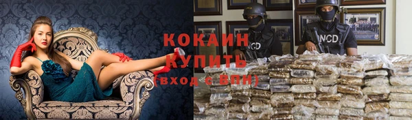 Альфа ПВП Карпинск
