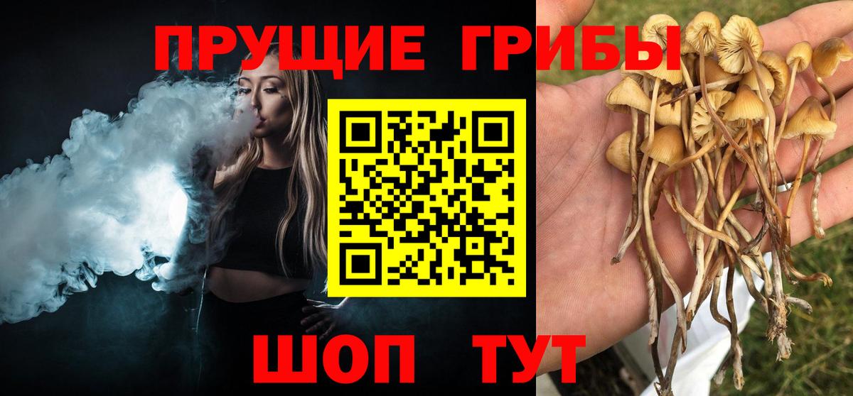 Галлюциногенные грибы ЛСД  Вход с VPN  купить наркотик  Назрань  Галлюциногенные грибы Psilocybe 